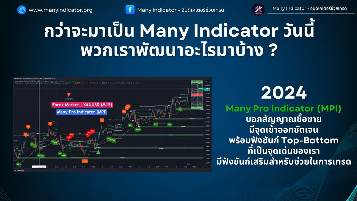 2024 — Many Pro Indicator (MPI)